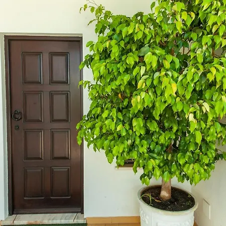 G - Vila Ceu Guest house